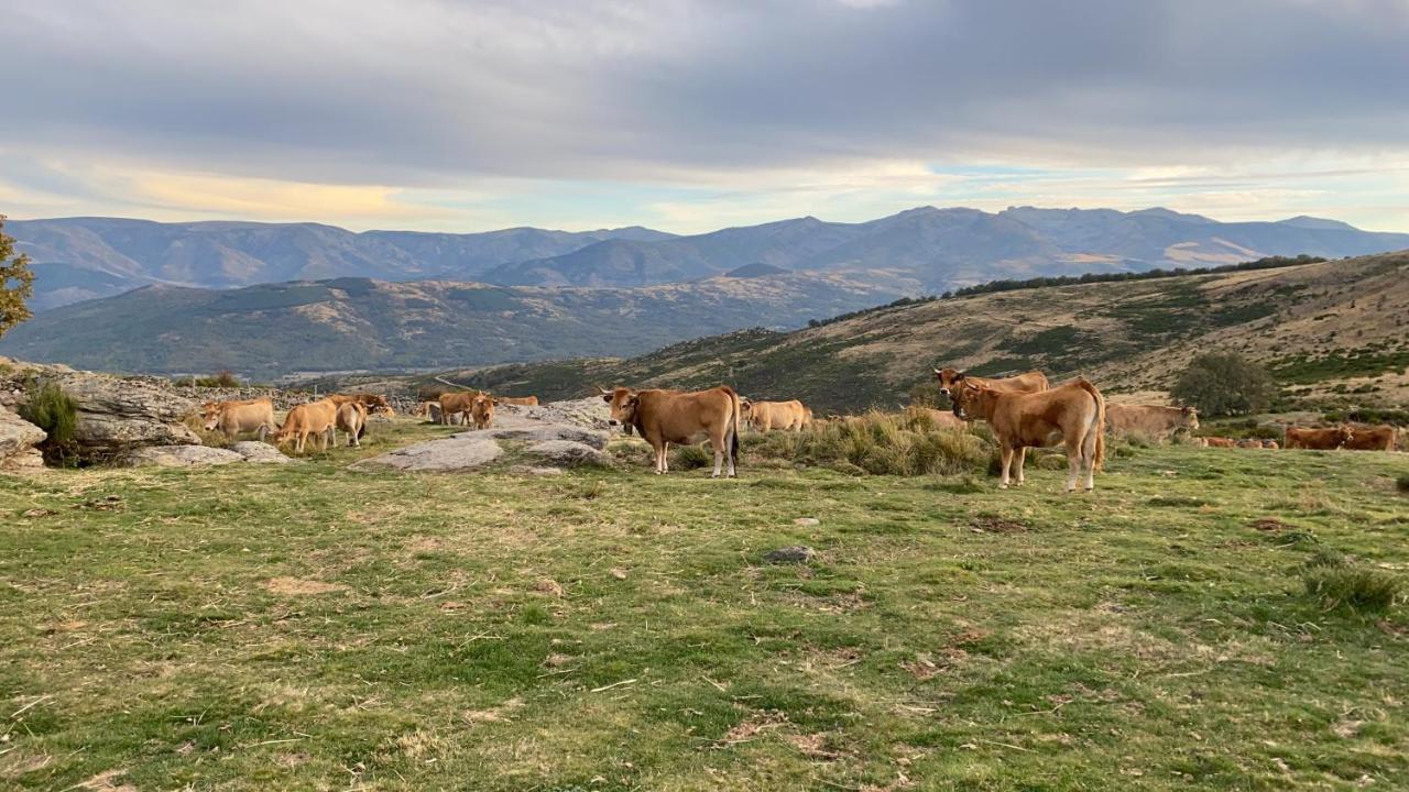 Vila El Pajar De Tio Mariano Tremedal Exteriér fotografie